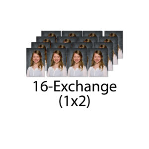 16 Exchange Wallets (Pkg W)